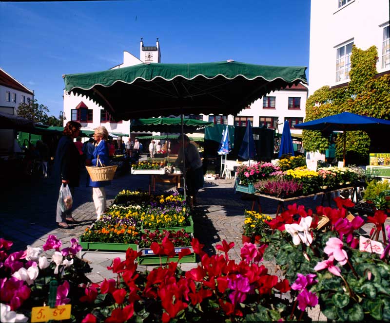 Rathausplatz Markt eggenfelden