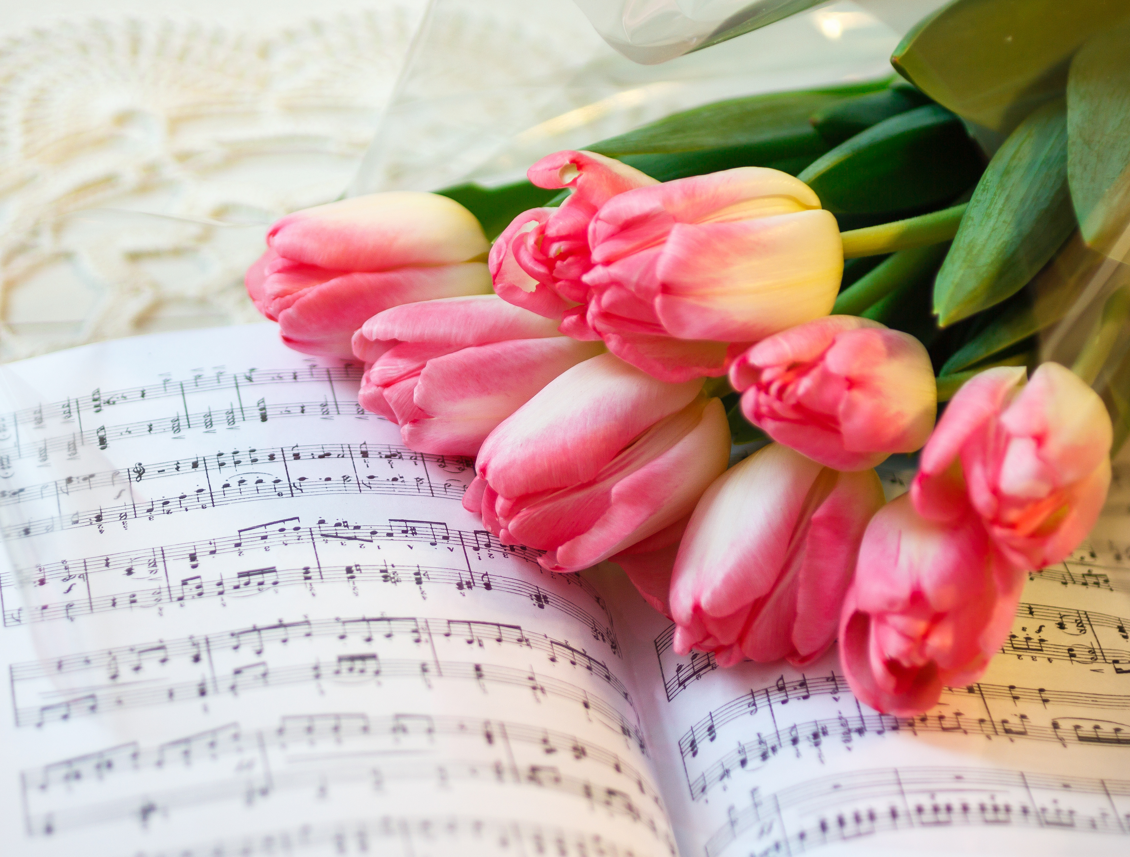 Tulpen Notenblatt